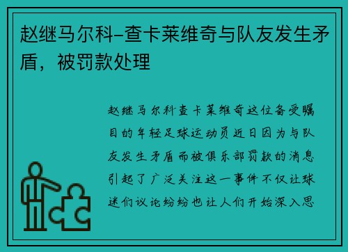 赵继马尔科-查卡莱维奇与队友发生矛盾，被罚款处理